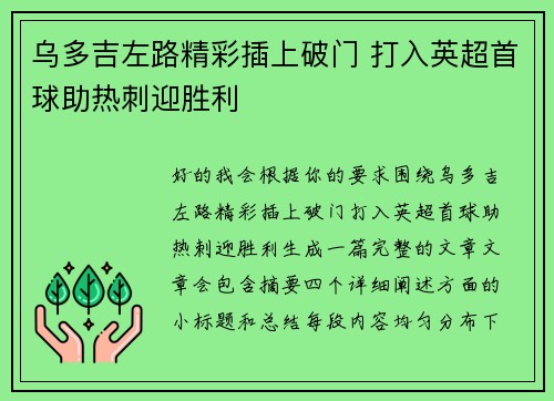 乌多吉左路精彩插上破门 打入英超首球助热刺迎胜利