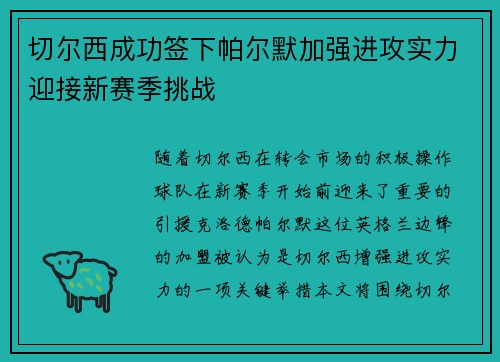 切尔西成功签下帕尔默加强进攻实力迎接新赛季挑战